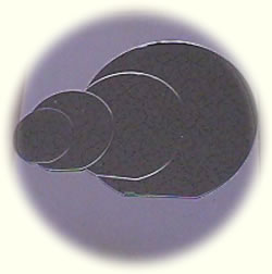wafers