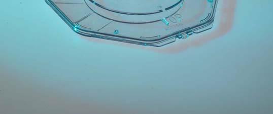 PH800WS-1116 – 200mm Single Wafer Shipper